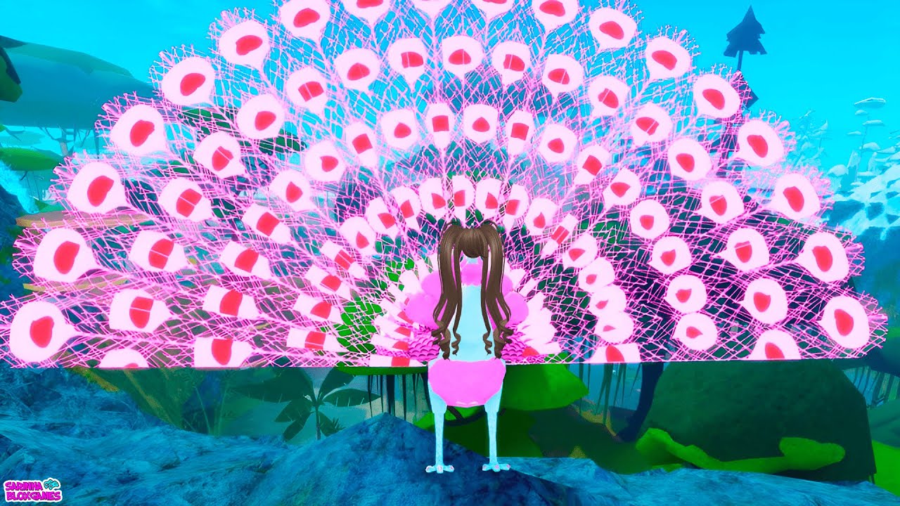 CICLO DE VIDA DO PAVÃO SARINHA!! Feather Family - Roblox