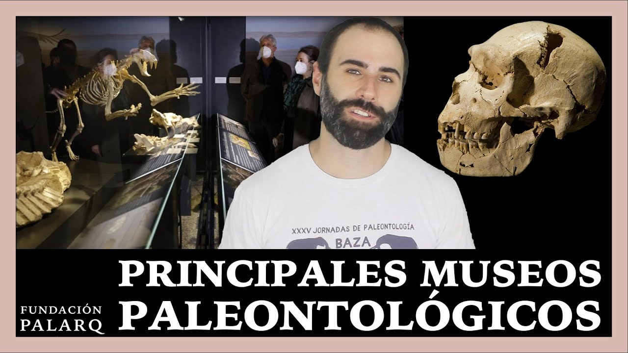 Los Museos de Paleontología y Prehistoria más impresionantes de España (Parte 1)