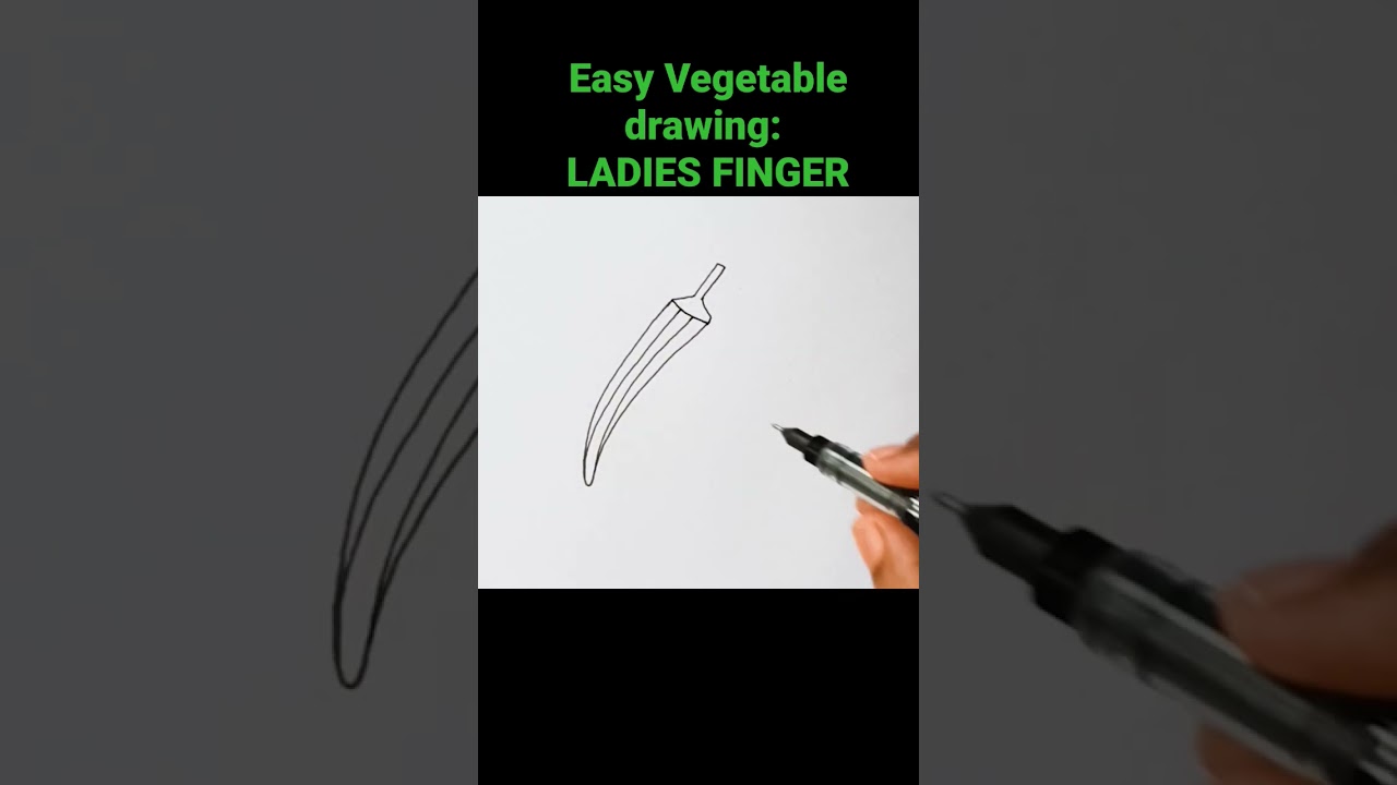 Easy Vegetable Drawing: LADIES FINGER