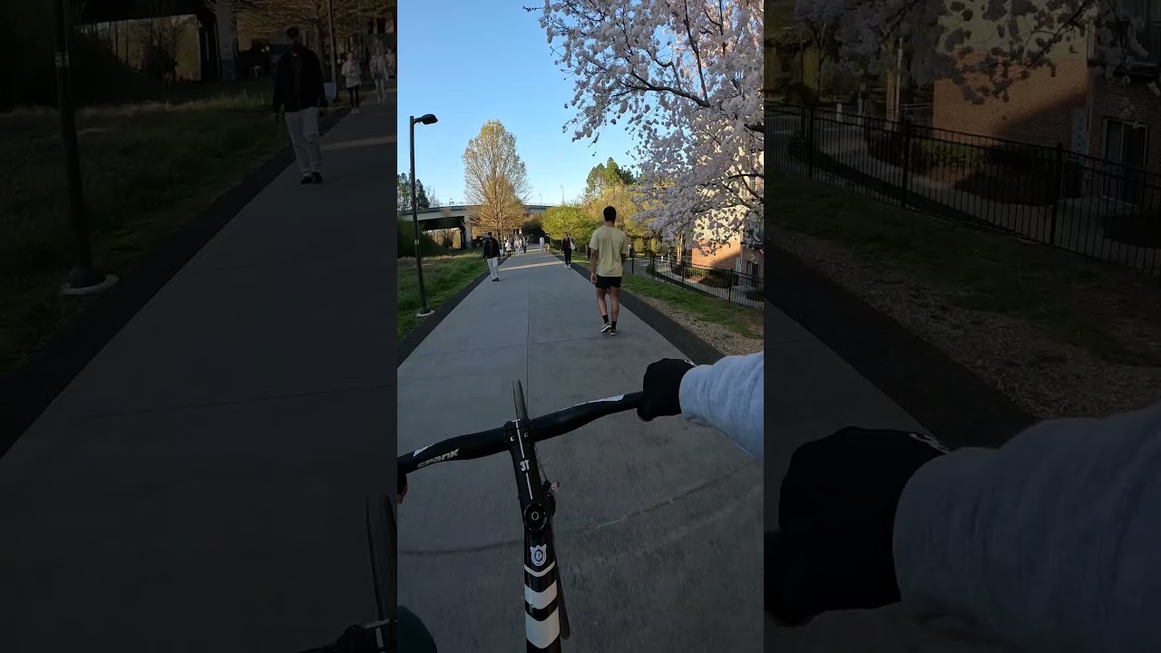 FIXED GEAR SPRING
