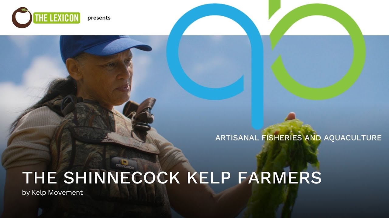 Shinnecock Kelp Farmers by Kelp Movement