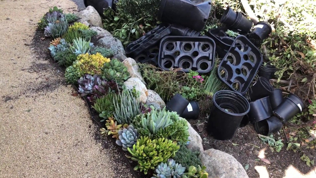 Beautiful Succulent Tapestry by Laura Eubanks in Rancho Santa Fe Day 5