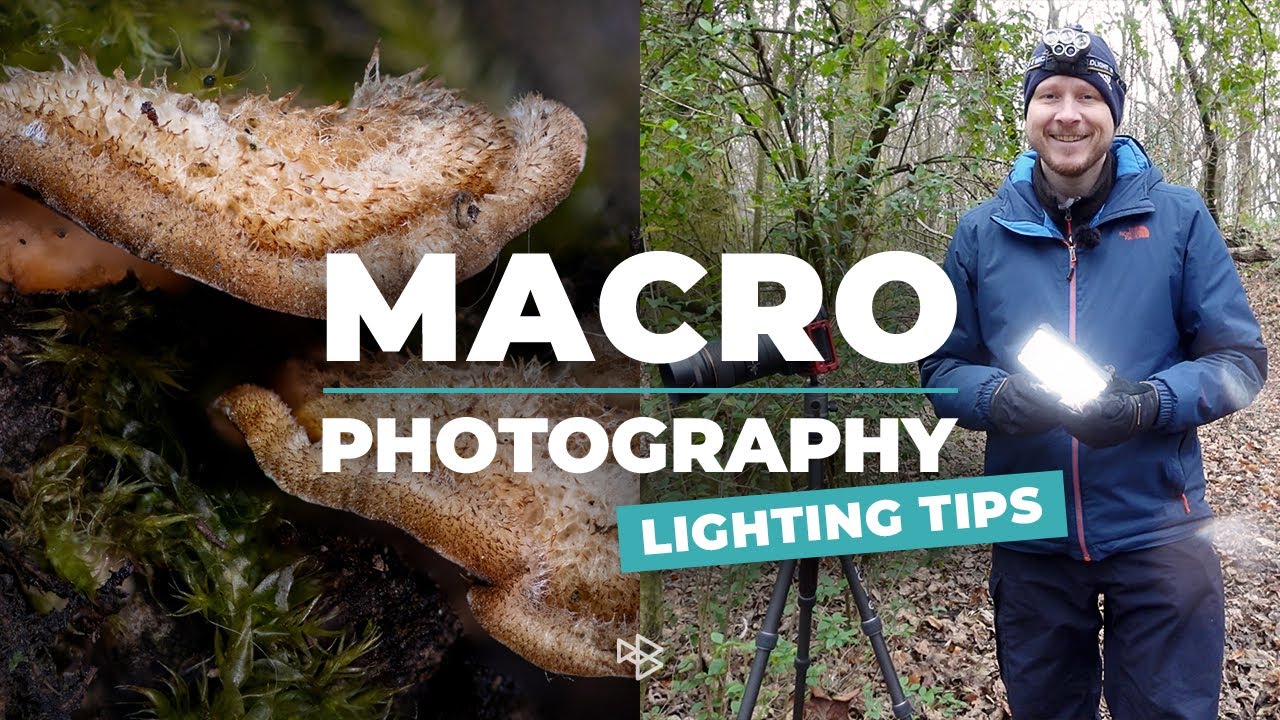 Macro Photography Lighting Tips