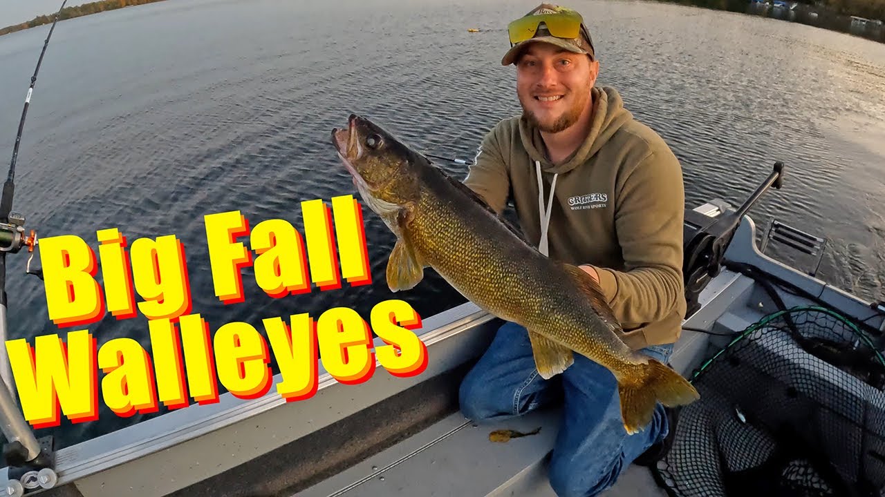 Big Fall Walleyes With My Dad
