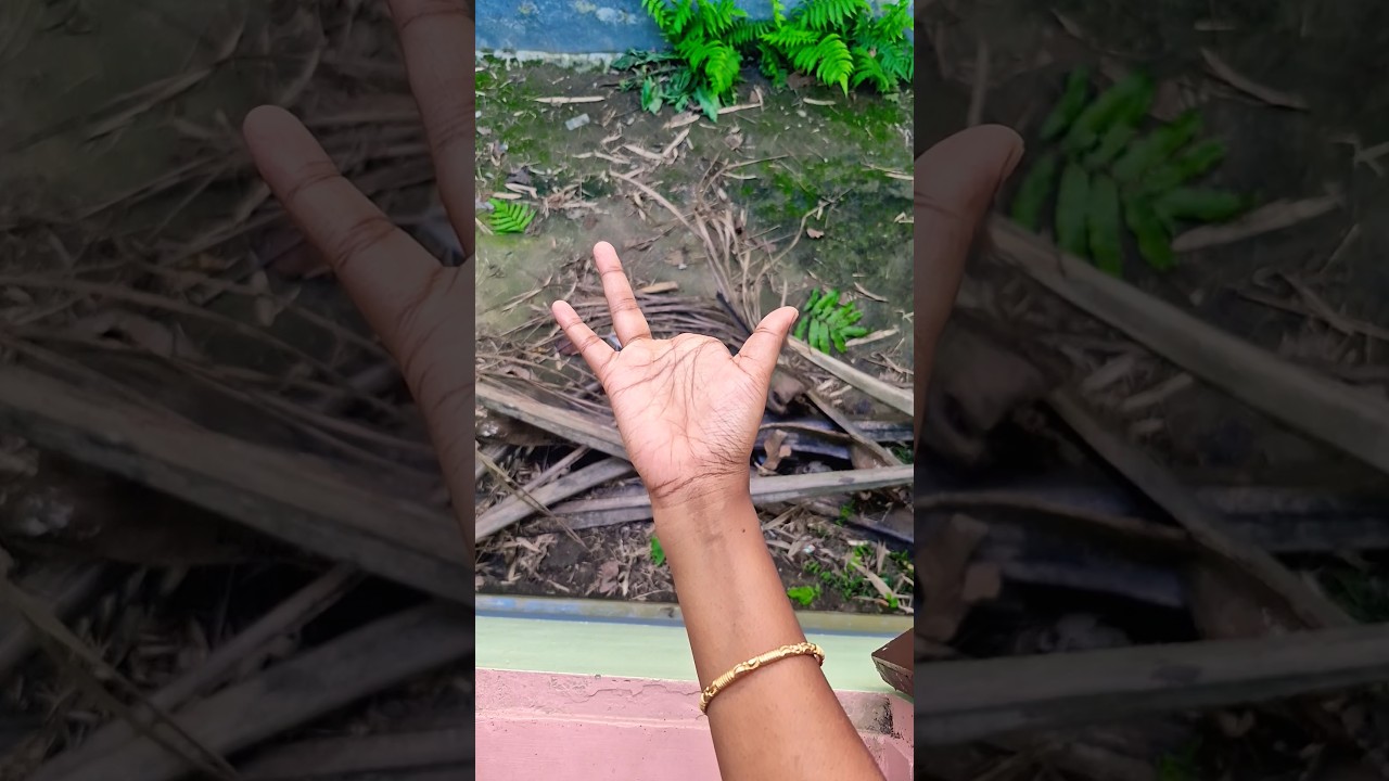 I have 3 fingers! 🖐️ 