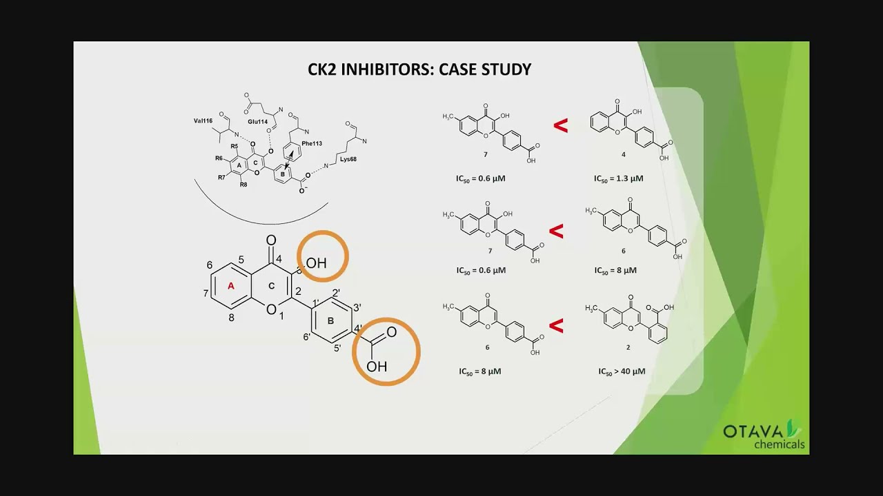 Ингибиторы человеческой протеинкиназы CK2: открытие новых структурных основ.