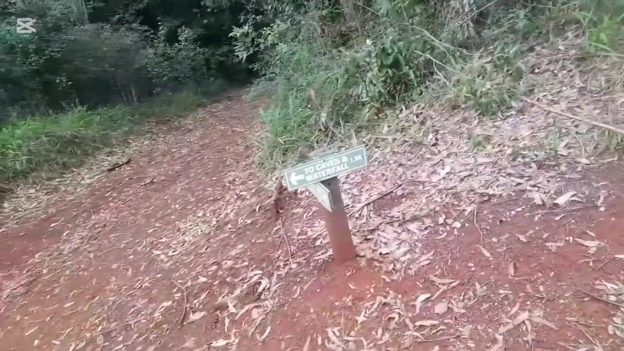 TOURING KARURA FOREST IN KENYA, KIAMBU.