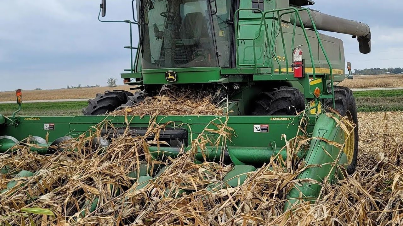 Corn Harvest