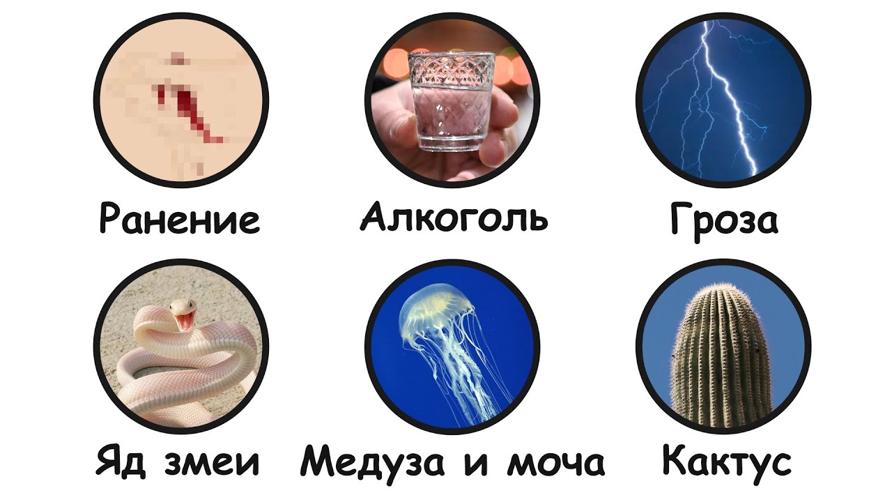 Мифы о выживании, которые могут вас убить