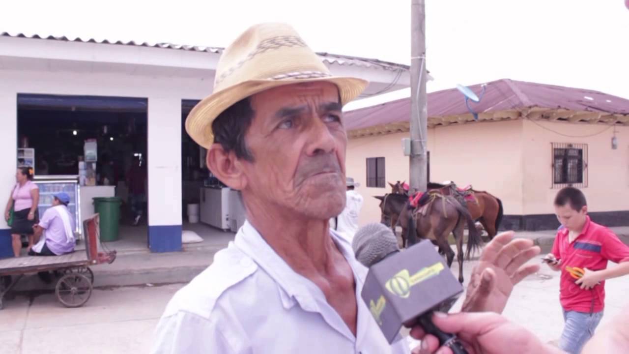 Documental, Arboleda pensilvania