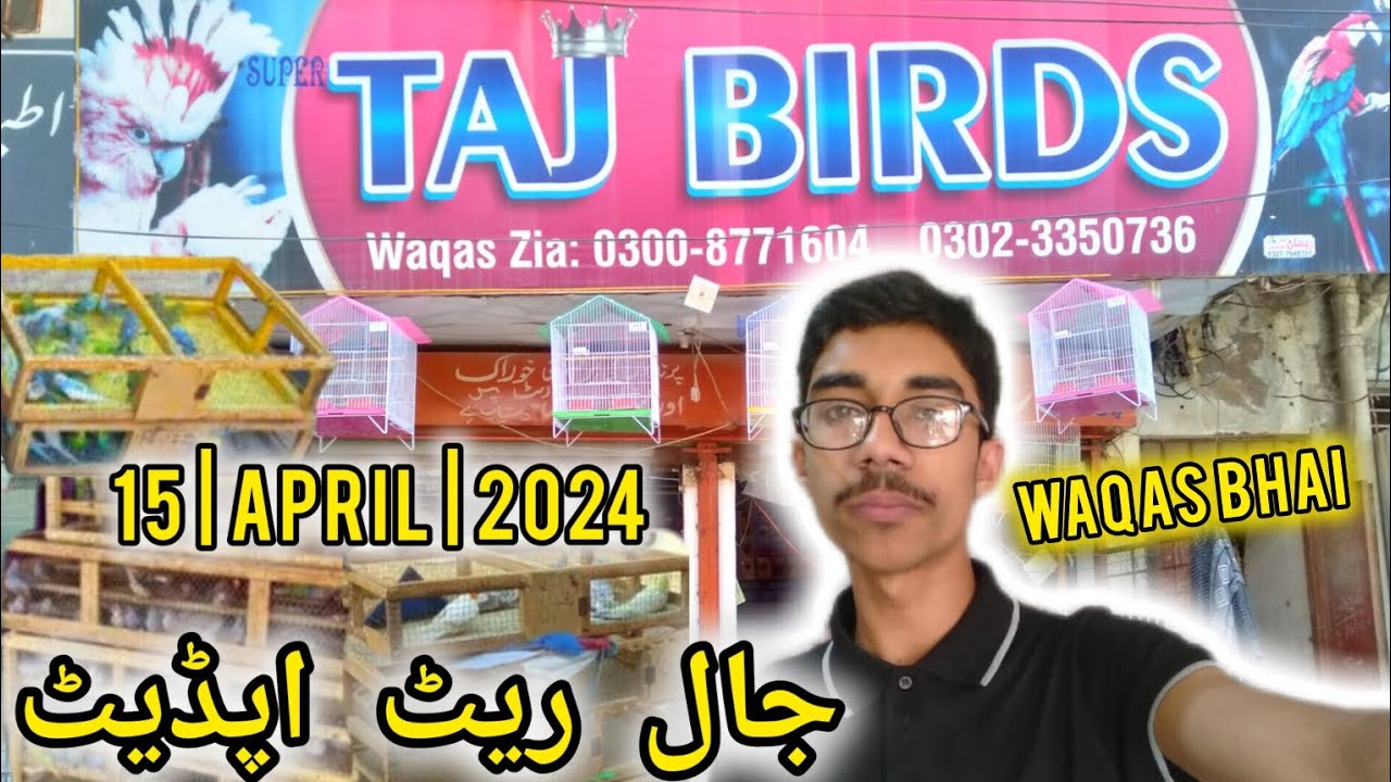 Rahim Yar Khan Birds Market Jaal Rate|Hospital Road|Latest Updates