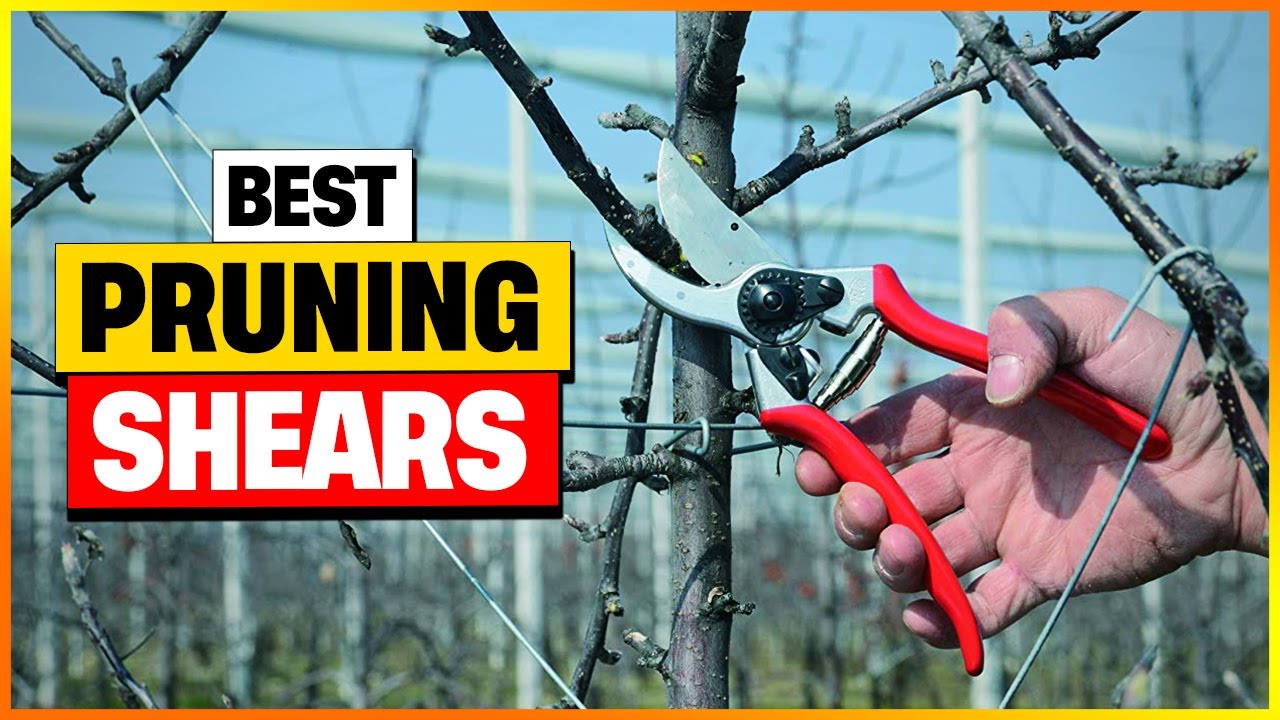Top 7 Best Pruning Shears That Will CHANGE Your Gardening Game in 2026