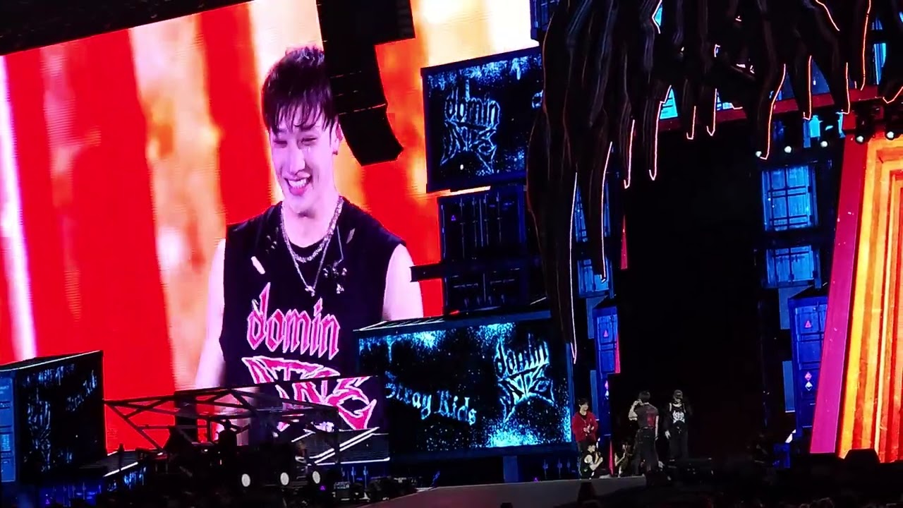 Stray Kids dominATE Sydney - Ment 3 + Fanproject