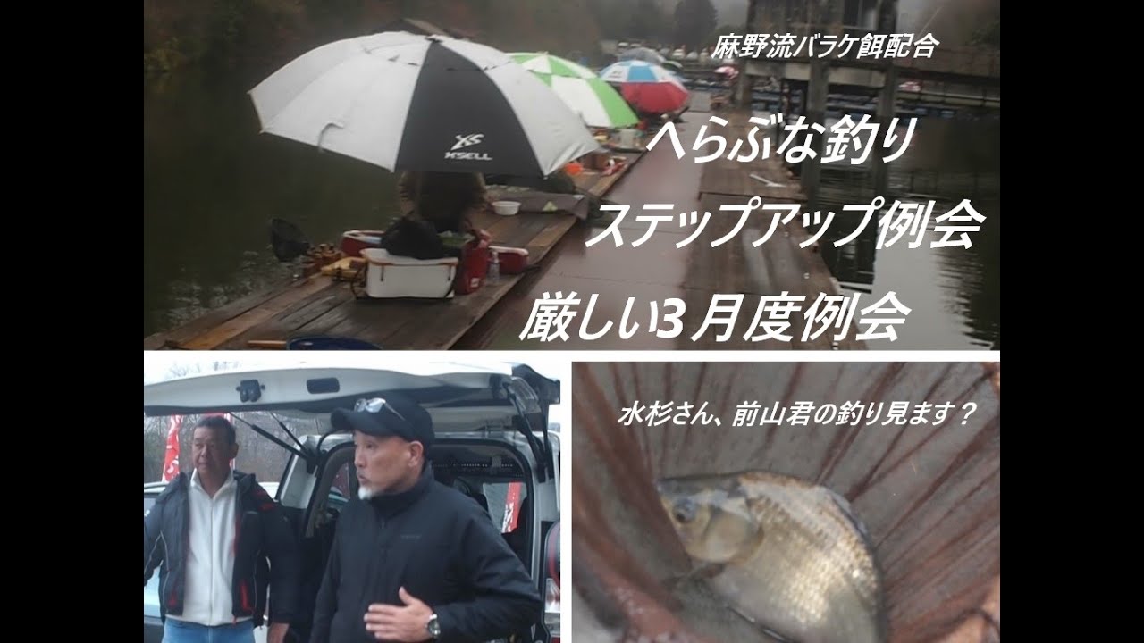 へらぶな釣り　ステップアップ例会　動画取れ高不足で別撮りの【水杉さんと前山君の釣り】アップします！　3月の神経質なへらぶなのちょうちんセット釣り紹介します　 #麻野流 #バラケ餌配合