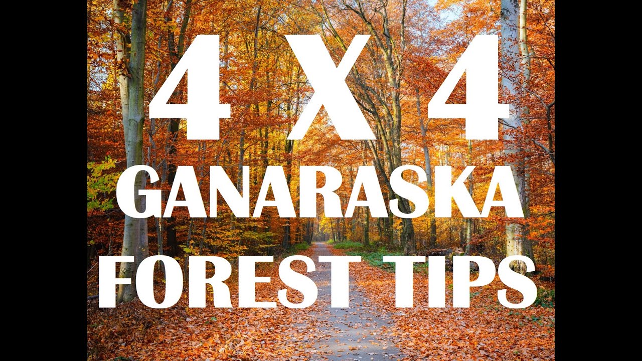 Ganaraska forest | Light Off-road 4X4 | Must watch to avoid trouble