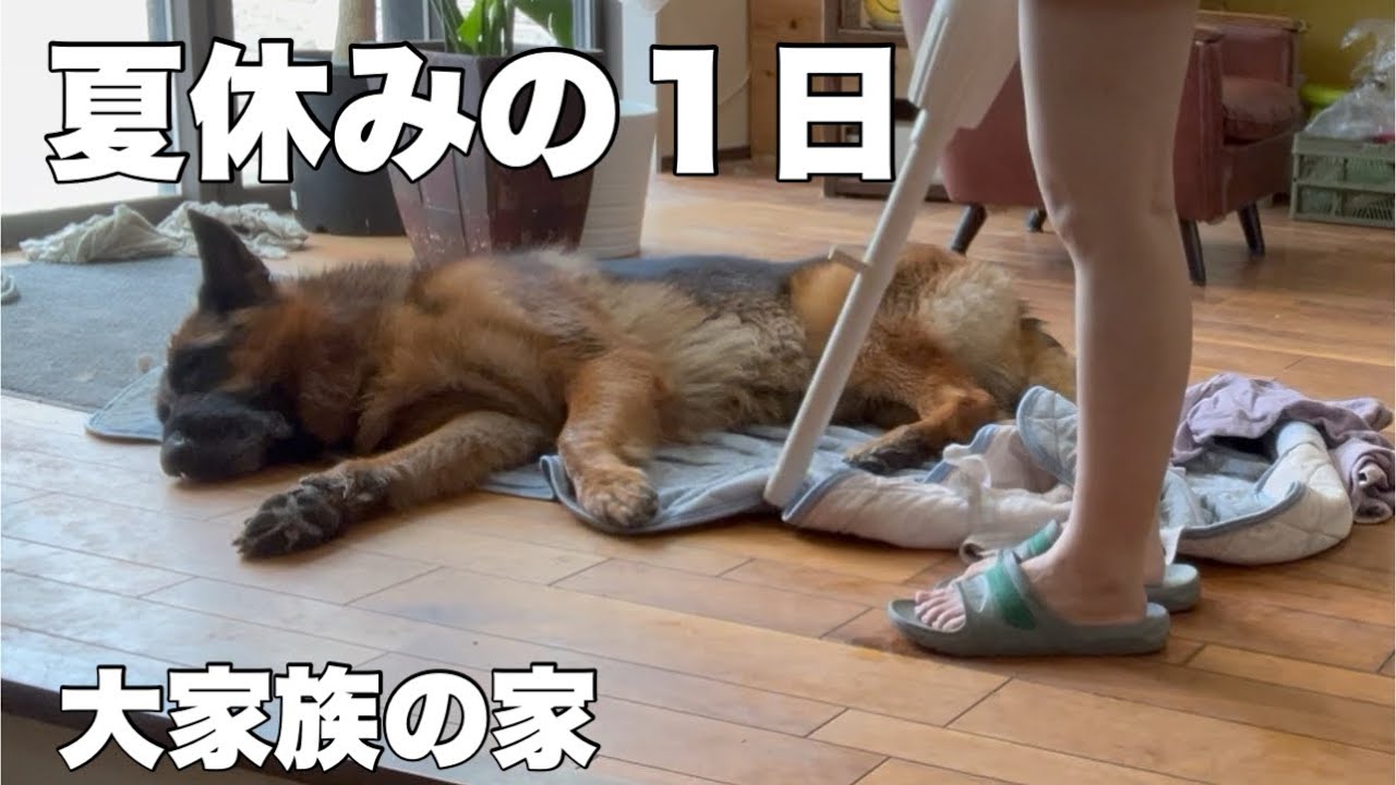 【１日の家事】大型犬と過ごす大家族/プール遊びで汚れた我が家を掃除します