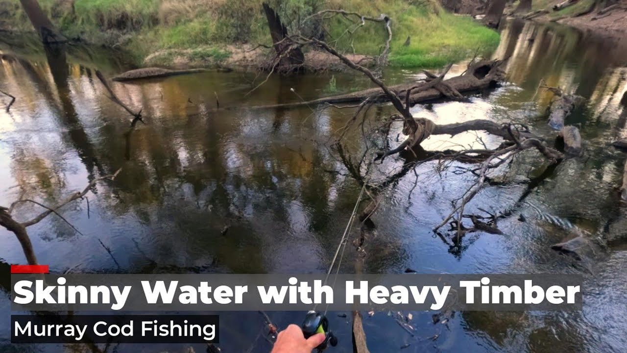 I Went Fishing in Skinny Water with Heavy Timber