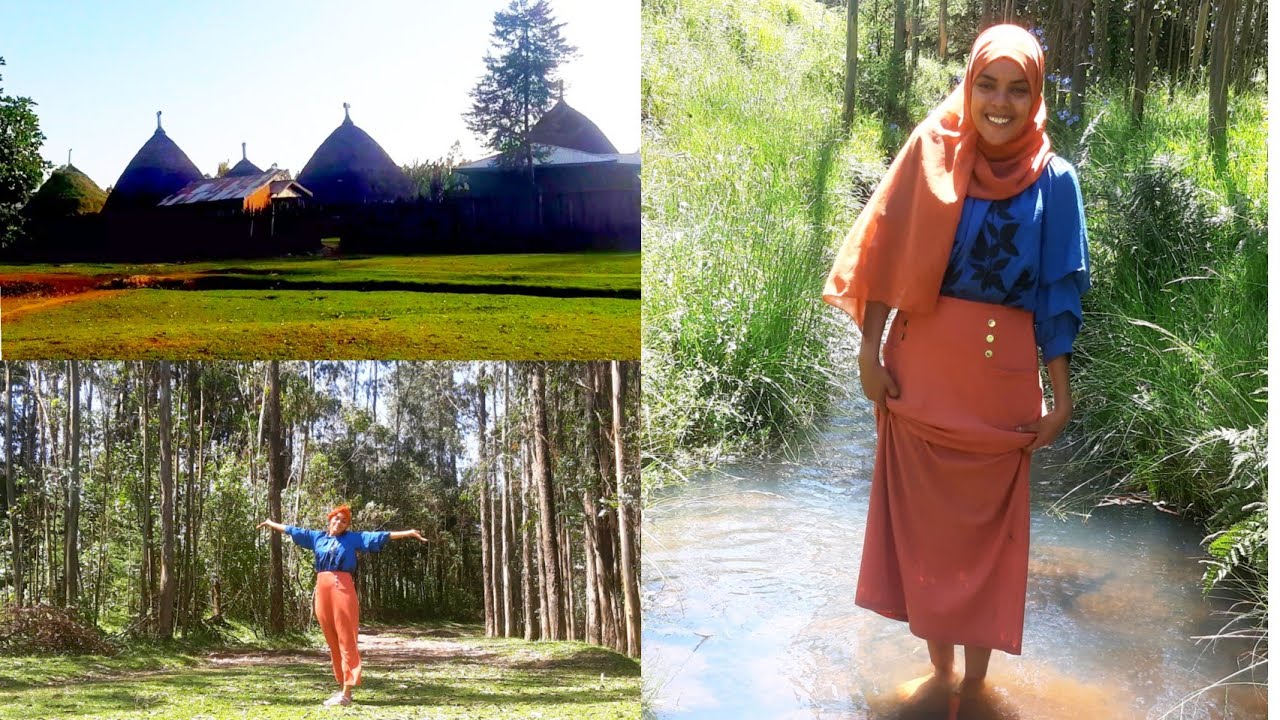 Vlog agamazar 🌴🍀🌳