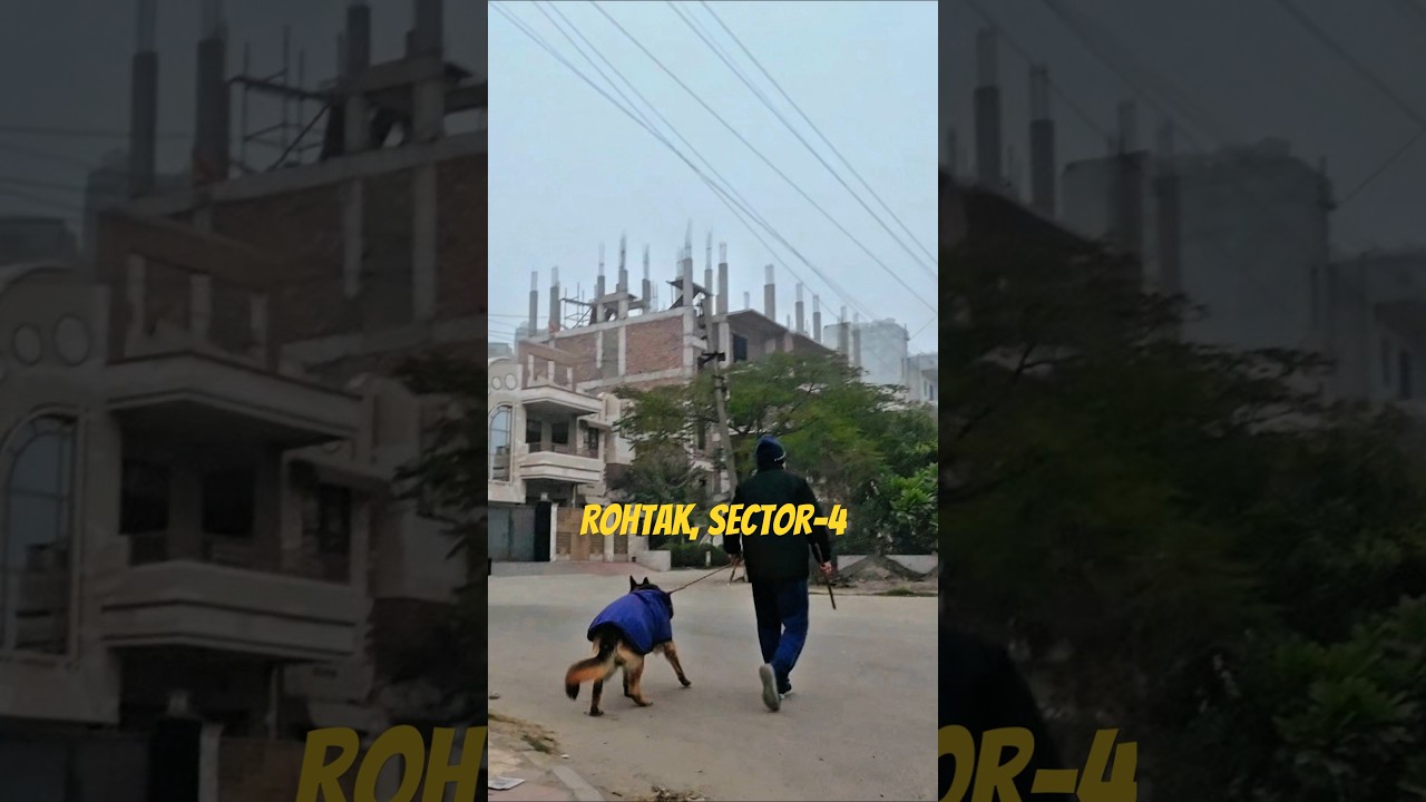 Rohtak Sector-4.  A Quick Tour #rohtak #haryana