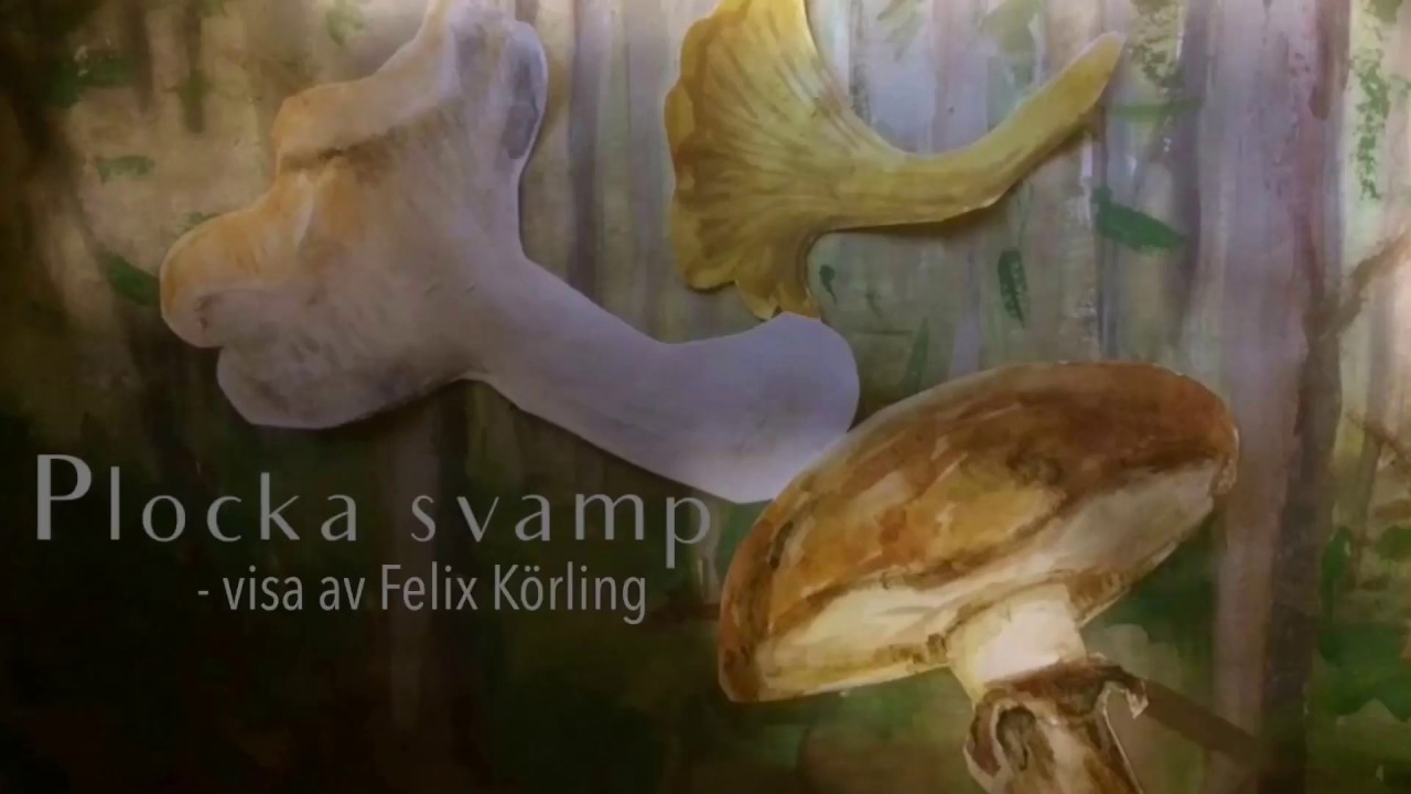 H&ouml;sts&aring;nger barn: Plocka svamp (med text!)