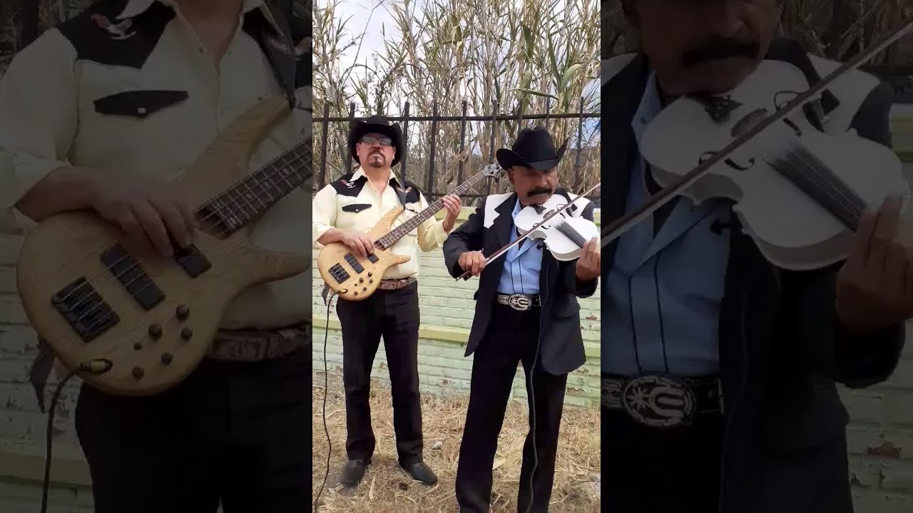 Los Luceritos de Michoacan - A un ladito del Corral