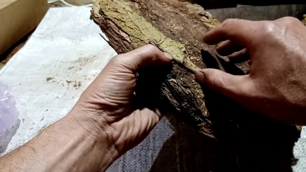 Результат ферментации Табака в бане.