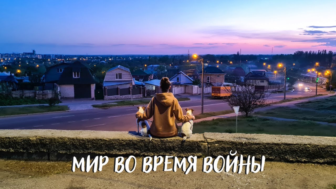 Живем в Украине в военное время || Переезд, Лечение Лео, о городе Кременчуг + DIY простая лежанка