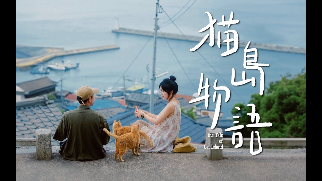 一个叫猫岛的地方，以后再也没有猫了｜盛夏关西