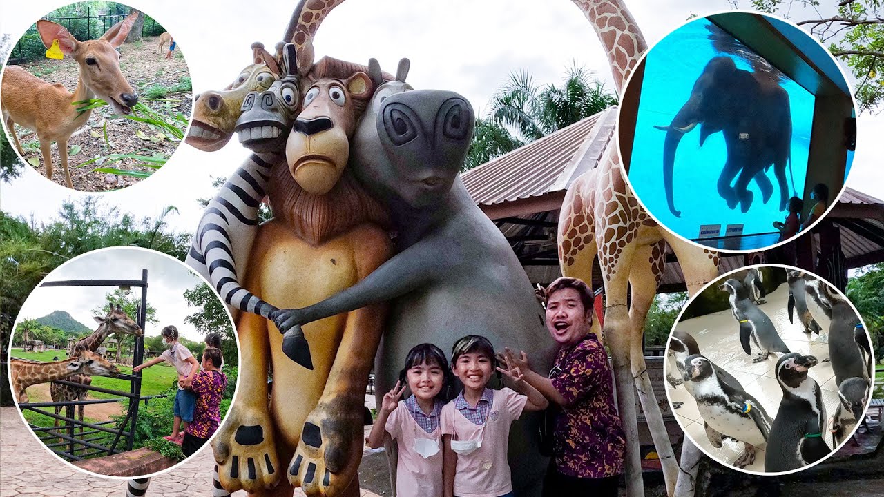 หนูยิ้มหนูแย้ม สวนสัตว์เปิดเขาเขียว เที่ยวชลบุรี