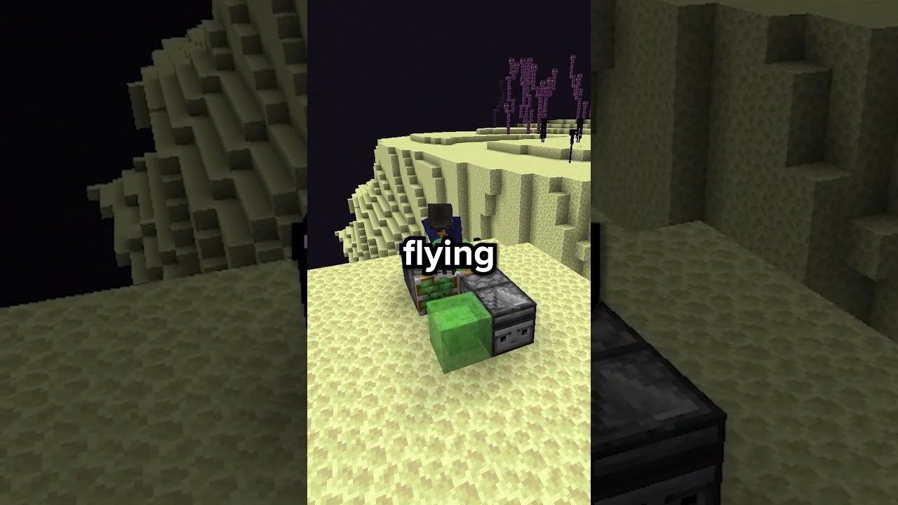 Elytras Are ALMOST Impossible To Find