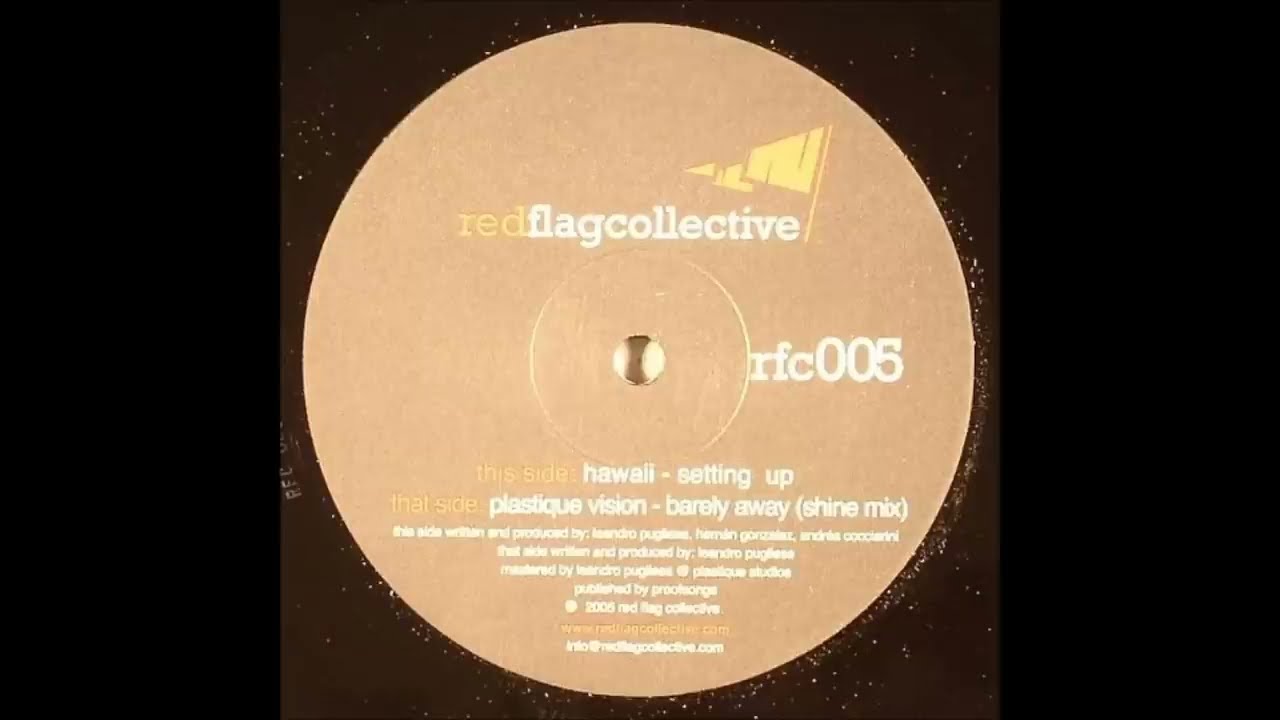 Hawaii - Setting Up (Original Mix)