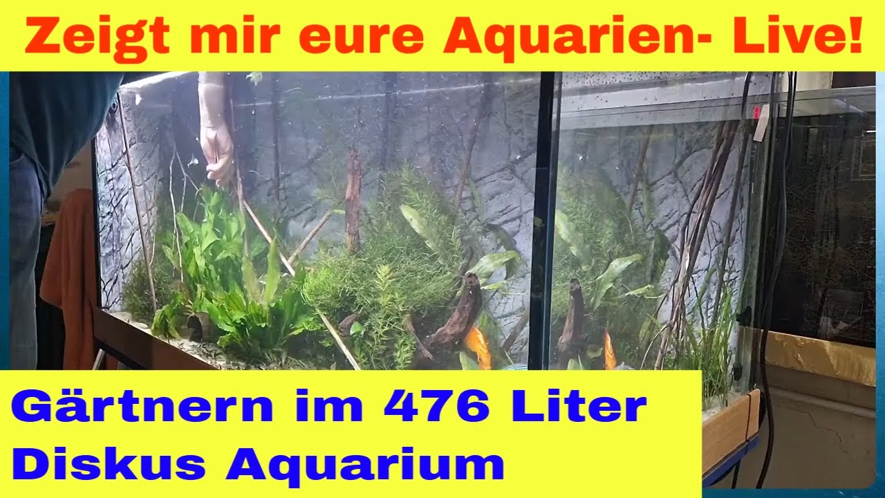 Zeigt mir eure Aquarien - Live! Der Stream zum mitmachen