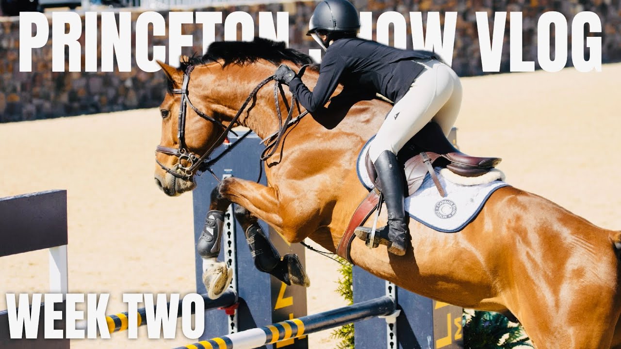 PSJ WEEK 2 // MOVING UP, CJ BEING WILD, & QUESTIONABLE RIDING