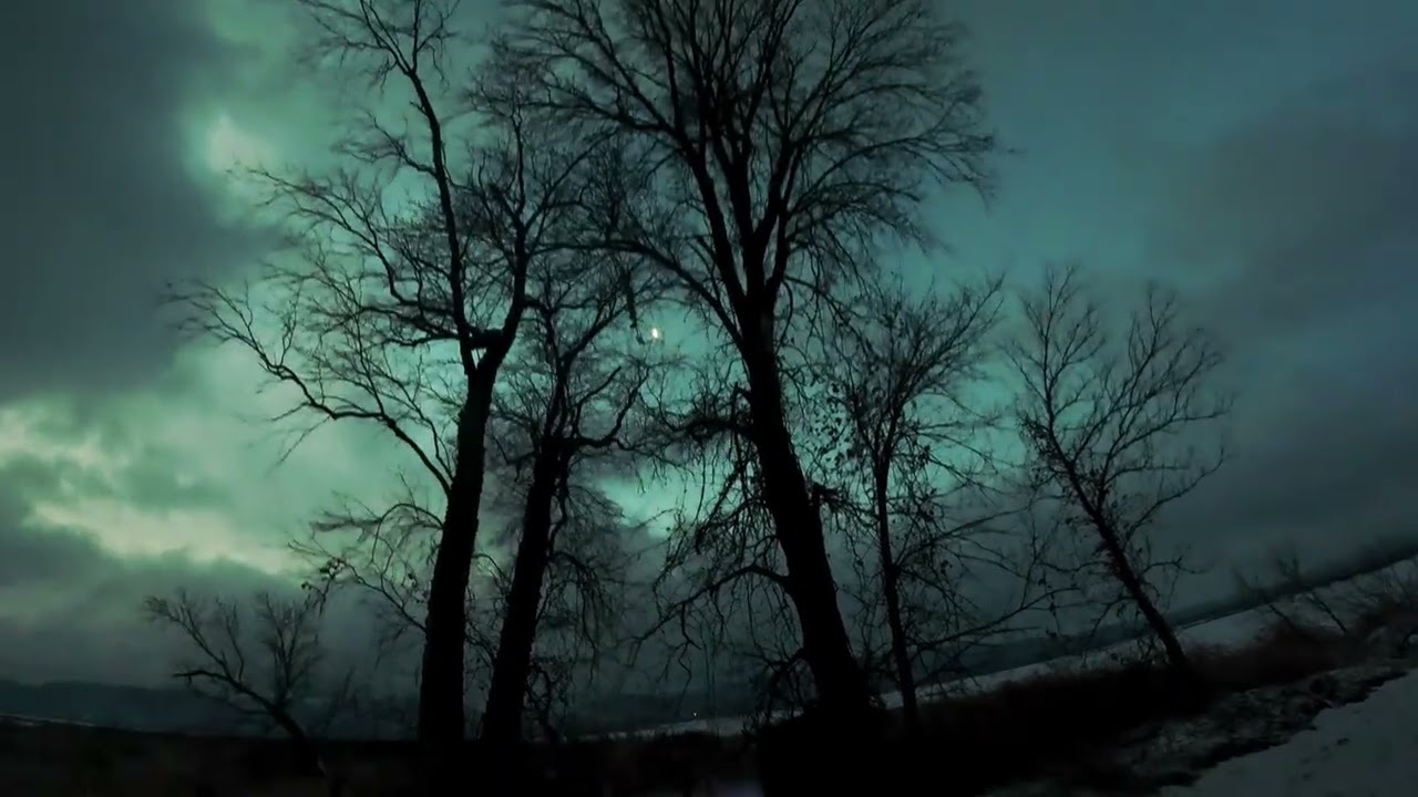 Trempealeau Refuge Pine Creek Dark and more 1/10/26 (video starts getting light around 7.5 mins)