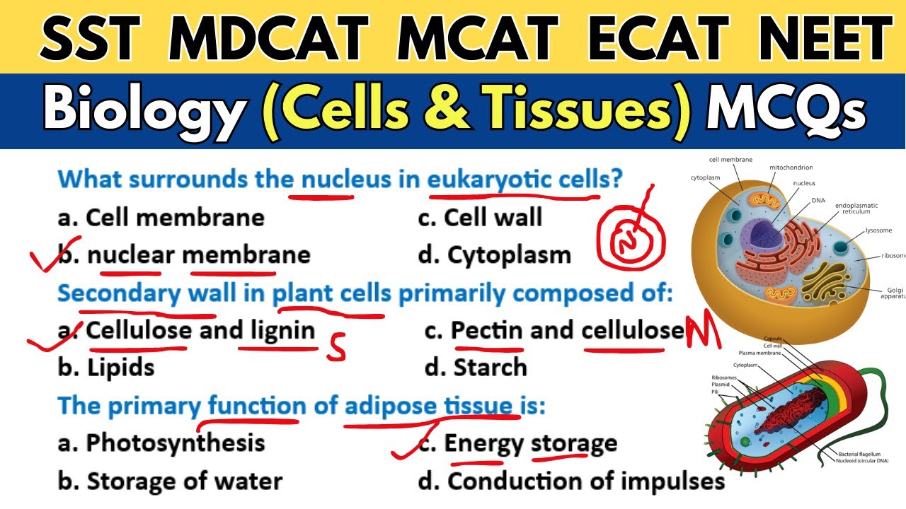 Biology Cell & Tissues MCQs | Biology Mcqs For Competitive Exams | SPSC SST FPSC #sst #mdcat