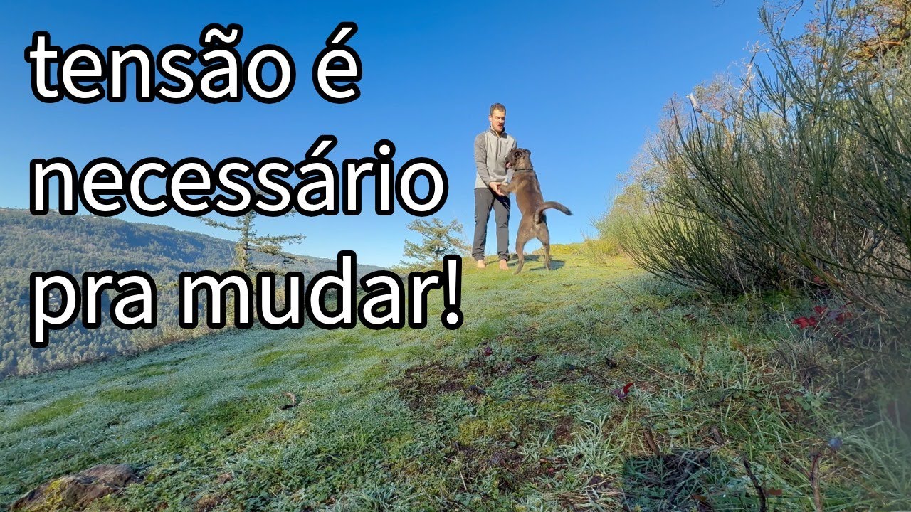 TENSÃO é NECESSÁRIO para você e te conto por quê!