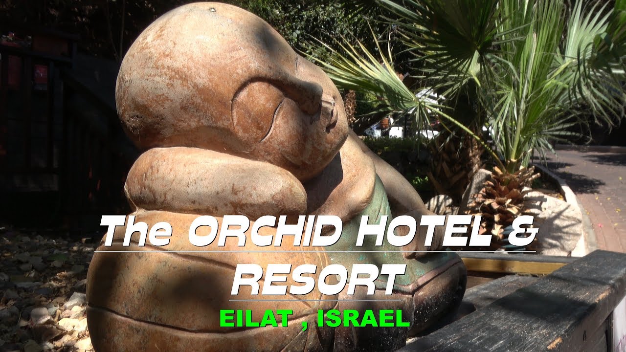 The Orchid Eilat : A 4 Stars Hotel & Resort ,Israel