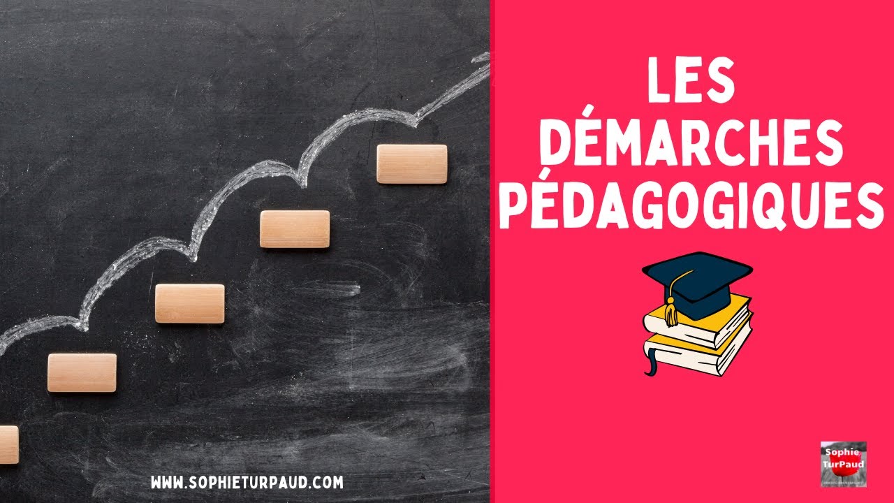 Les démarches pédagogiques 🎓🔎