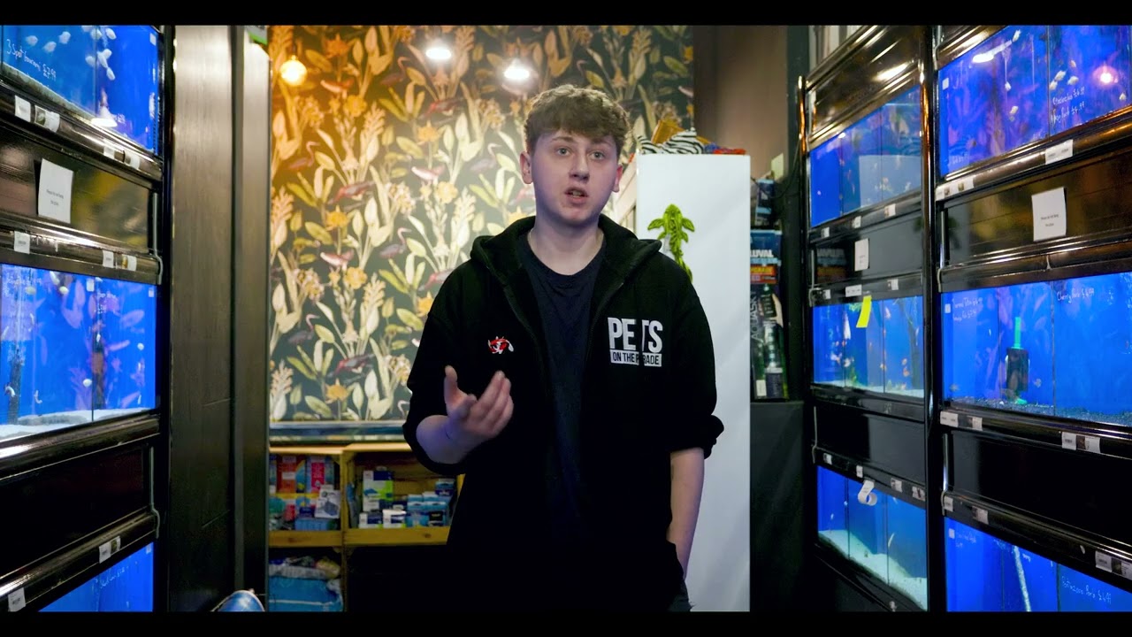 This Pet Shop in Surbiton Is a UK Small Business Success Story | Pets on the Parade
