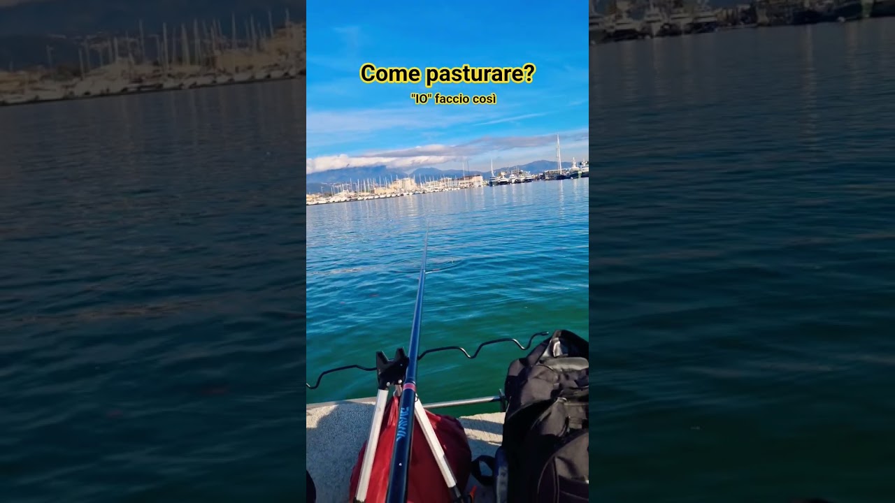 Io pasturo così! voi come pasturate? 