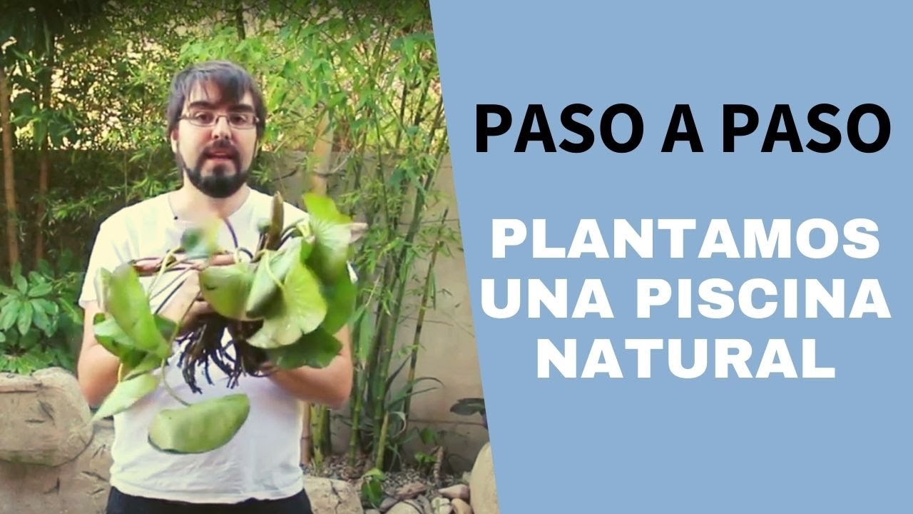 Plantar una biopiscina