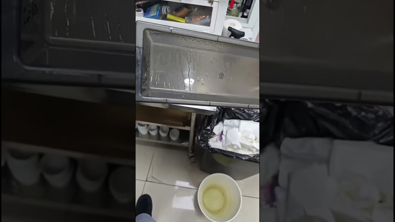 POV Cleaning Snake Tray – Watch Full Livestream for Reptile Care & Setup Tips!