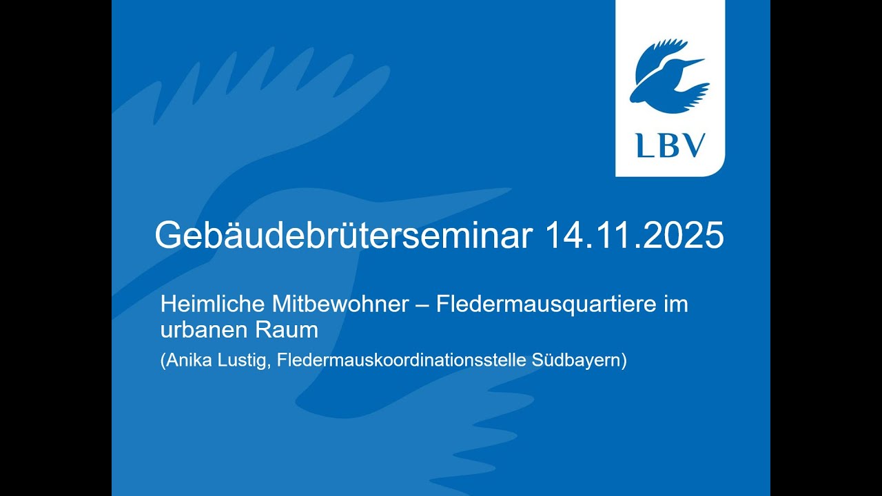Heimliche Mitbewohner – Fledermausquartiere im urbanen Raum