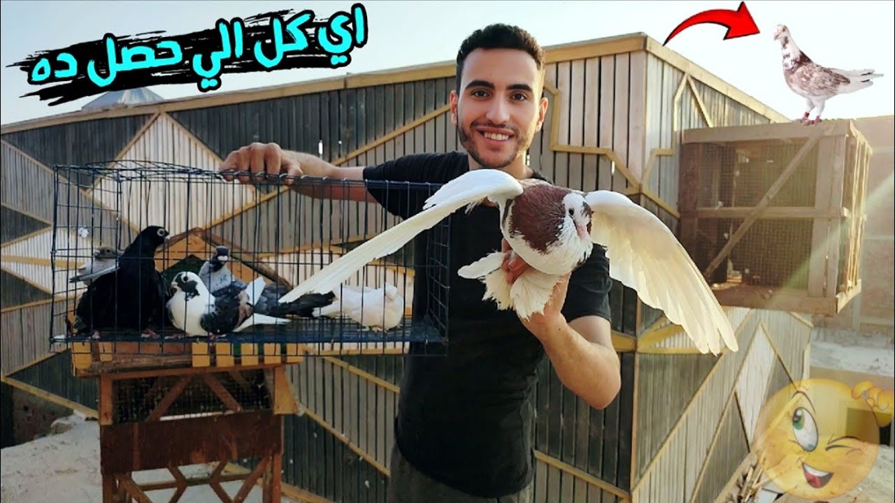 اتصدمت من الي الحمام عمله 😱 يوم كله مفاجات (وحمام النش اختفي مش لاقيه)