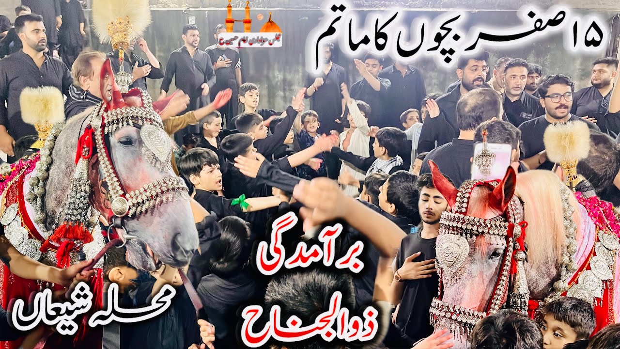 Baramdagi Zuljanah 15 Safar 2025 Bacho ka Matam |  Mochi gate Lahore 