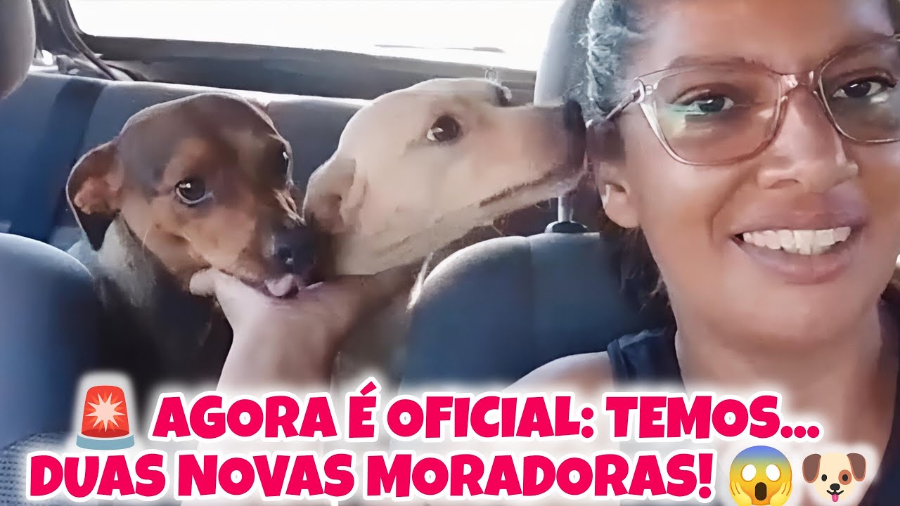 🚨 BUSCAMOS ELAS… E O QUE ACONTECEU NA CHEGADA ME DEIXOU SURPRESA🫢 + ROTINA DO DIA 