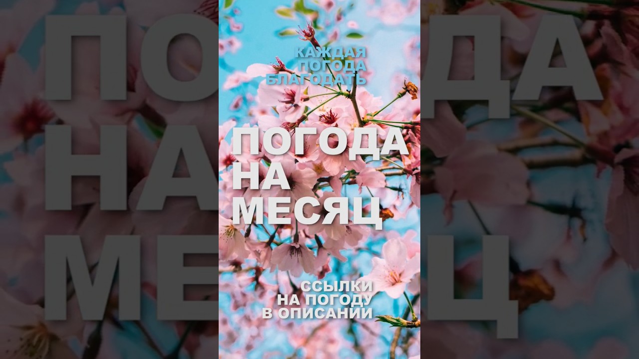 Погода на месяц