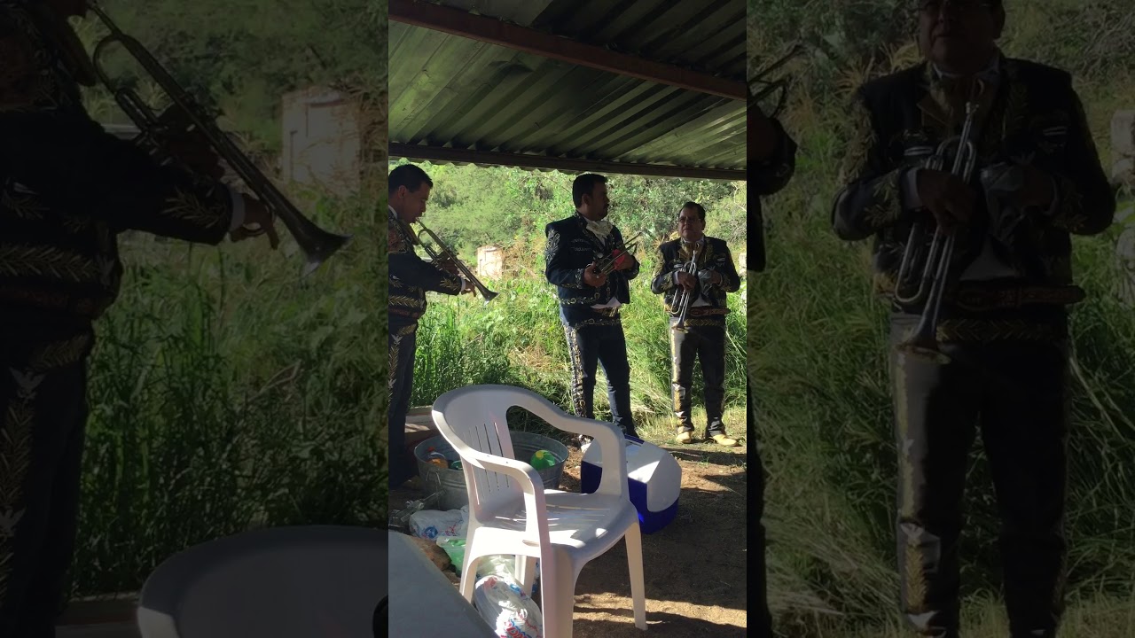La Pachita mariachi de nochistlan Zacatecas