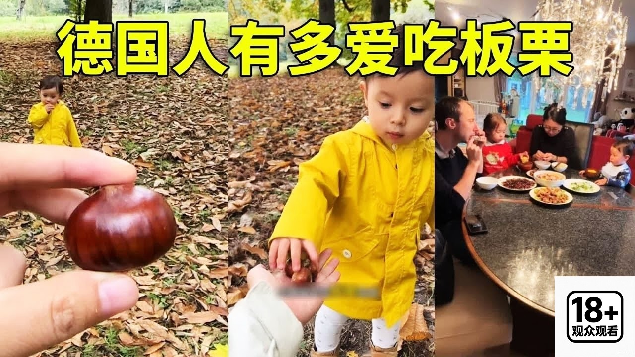 满地都是板栗，德国的秋日限定甜蜜。#在拍一种很新的vlog #捡板栗