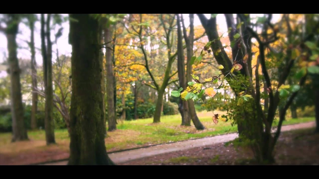 Dare To Discover Promotional Video
